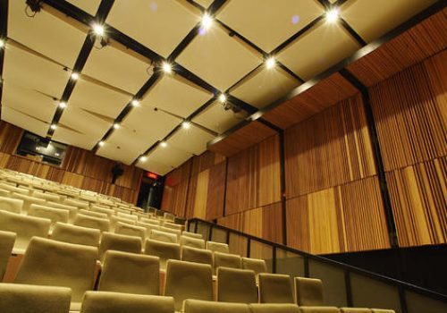 auditorium-acoustic-services-500x500-1-p4lhmcwa3h6tuoilnnzzpls9dphdhk49jrnctmomng